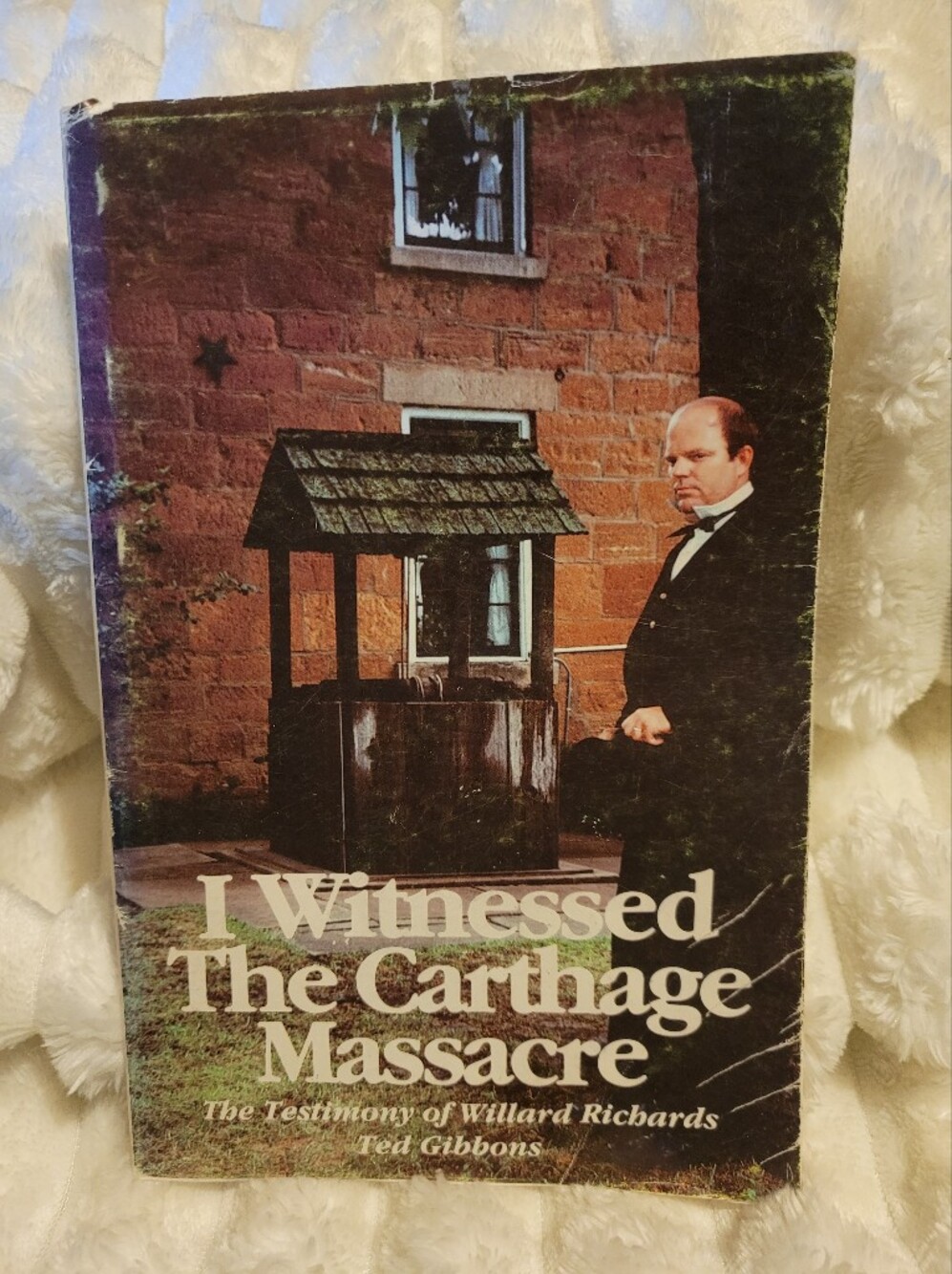 I Witnessed The Carthage Massacre Short Book By Ted Gibbons